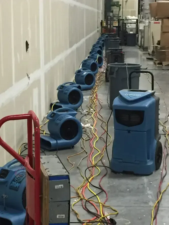 Air movers and dehumidifiers lined up along a hallway with flood-cut walls
